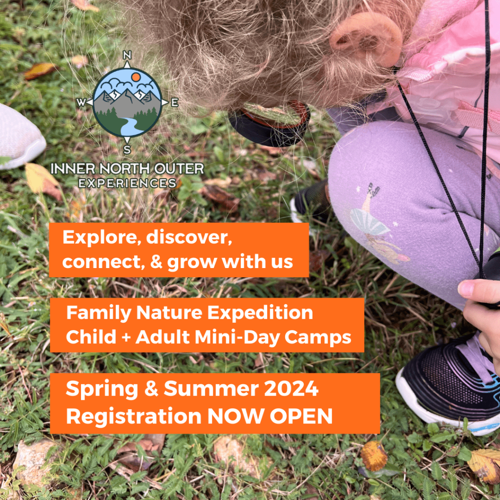 Girl exploring the grass with magnifying glass in park